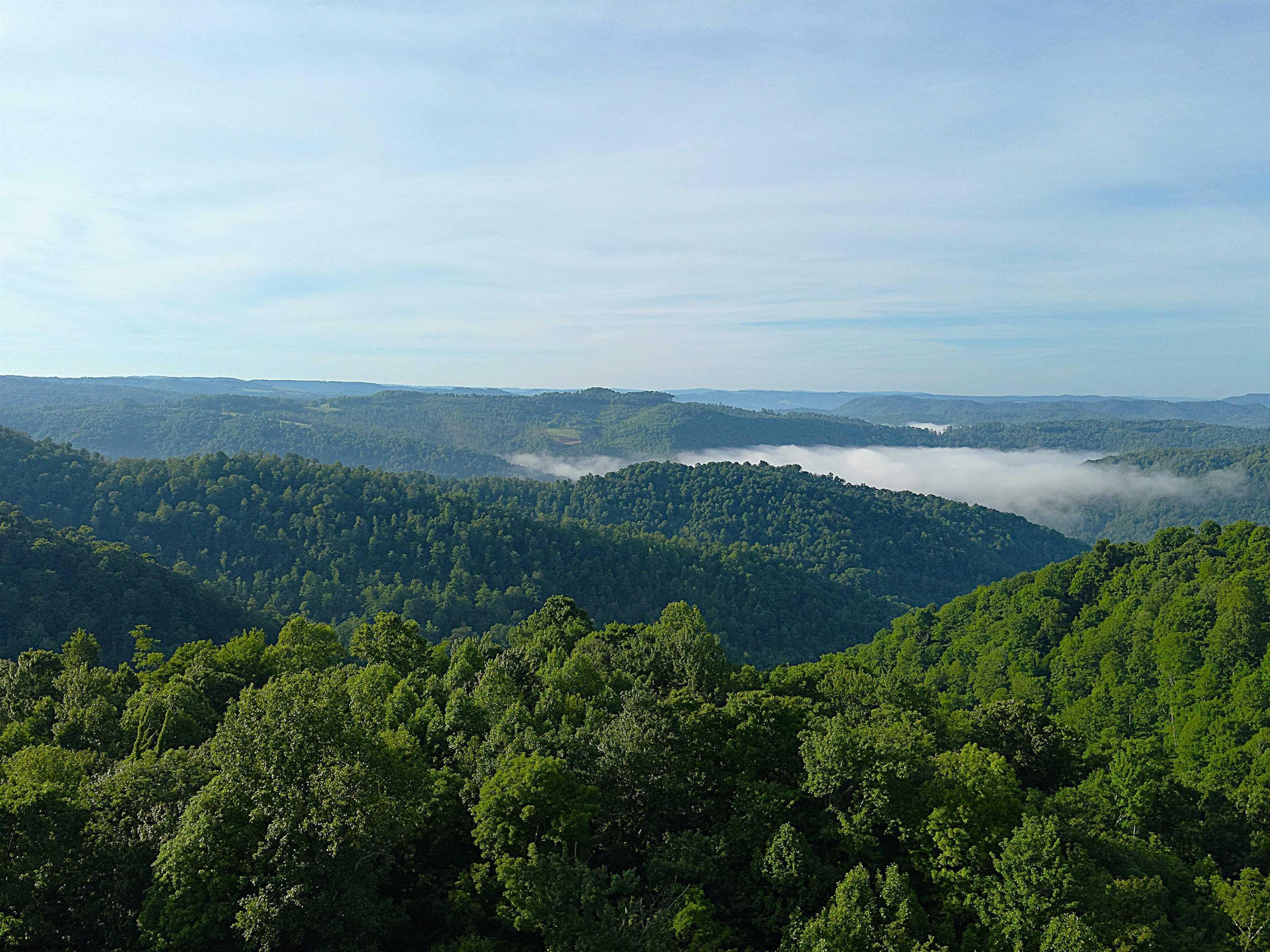 Tbd Calvert Shaver Road Rowlesburg, WV 26425 - Photo 1 of 35 Gallery Image 1