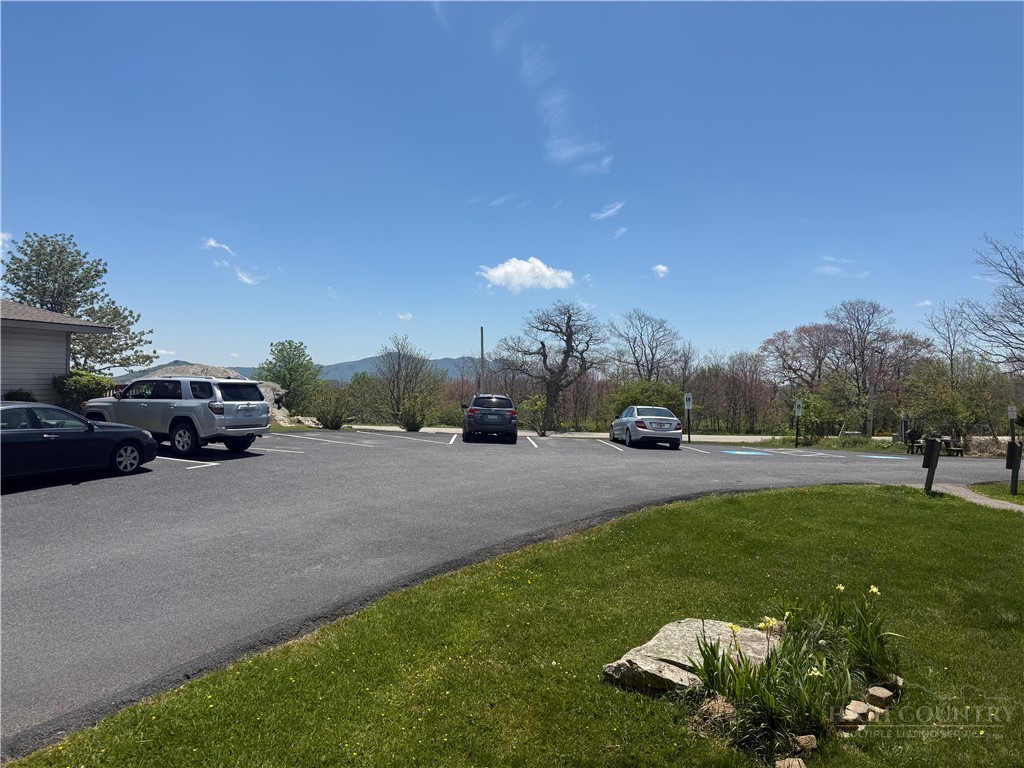 301 Pinnacle Inn Road, Unit 1108 Banner Elk, NC 28604 - Photo 11 of 20