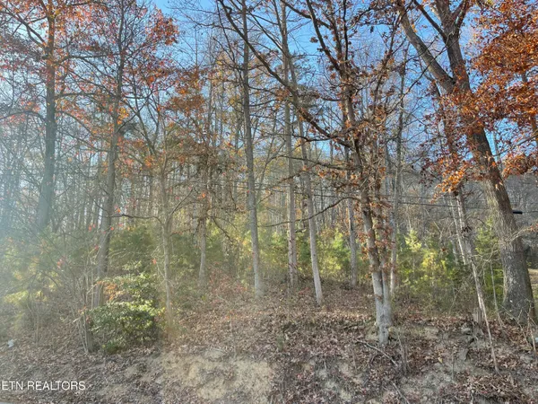 $175,000 | 0 Holiday Lane, Jellico, TN 37762