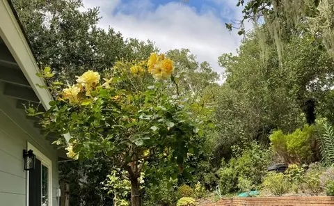 $1,890,000 | 25349 Flanders Drive, Carmel, CA 93923