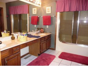 736 Harbor Springs Road Kingsport, TN 37664 - Photo 7 of 12 Master bath