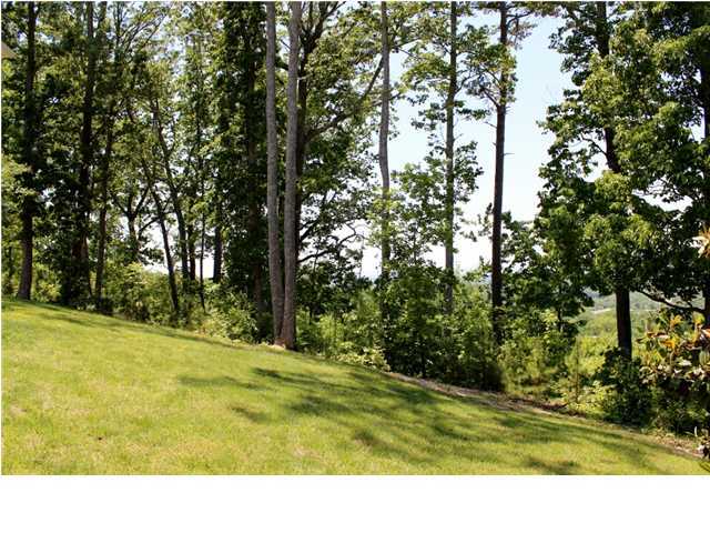 117 North Pointe Road Ringgold, GA 30736 - Photo 29 of 36 Additional Photo