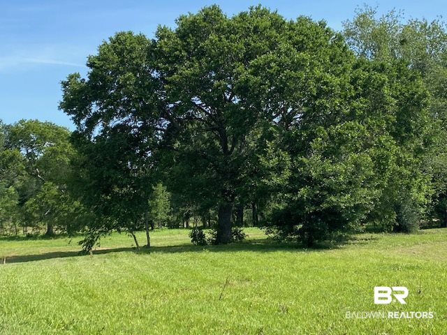 0 Beasley Road Foley, AL 36535 - Photo 23 of 29