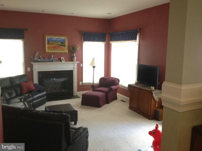 6496 Cory Place Springfield, VA 22150 - Photo 7 of 10 Family Room