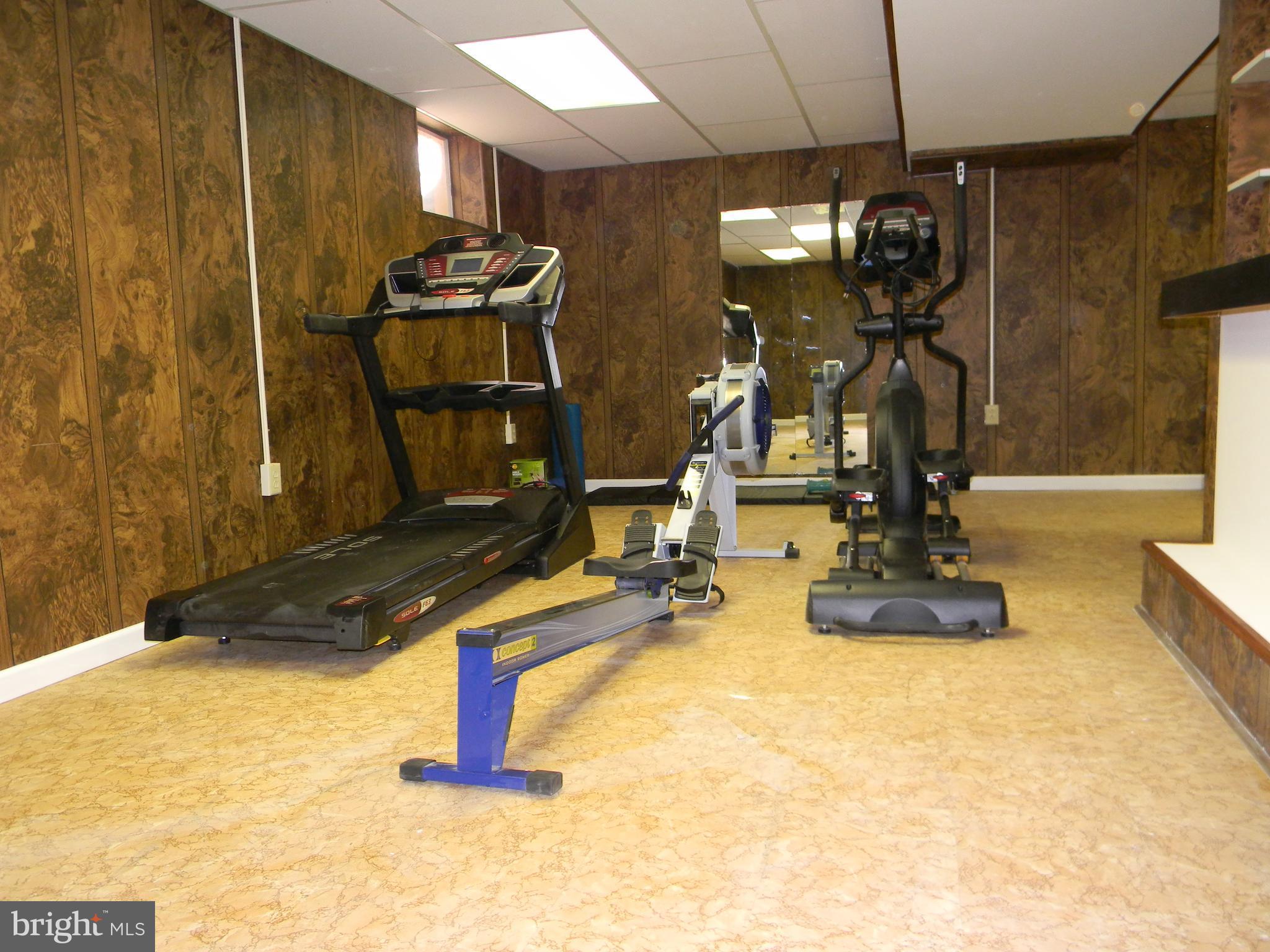 3716 Lanamer Road Randallstown, MD 21133 - Photo 26 of 28 Rec Room