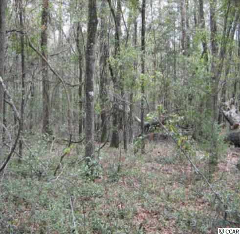 Lot 18 Cormorant Street Georgetown, SC 29440 - Photo 1 of 3 Gallery Image 1