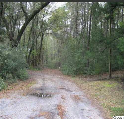 Lot 18 Cormorant Street Georgetown, SC 29440 - Photo 2 of 3 Gallery Image 2