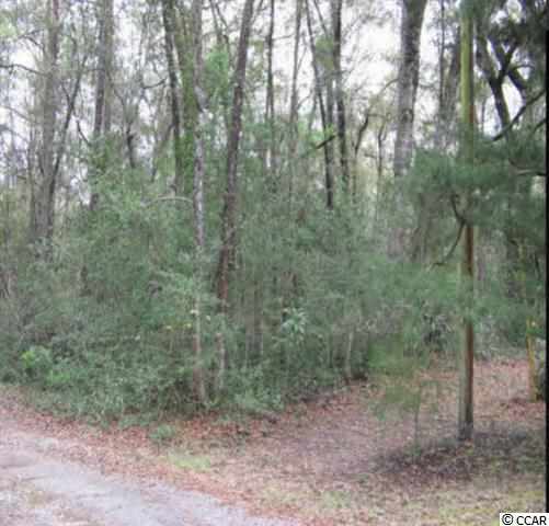 Lot 18 Cormorant Street Georgetown, SC 29440 - Photo 3 of 3 Gallery Image 3