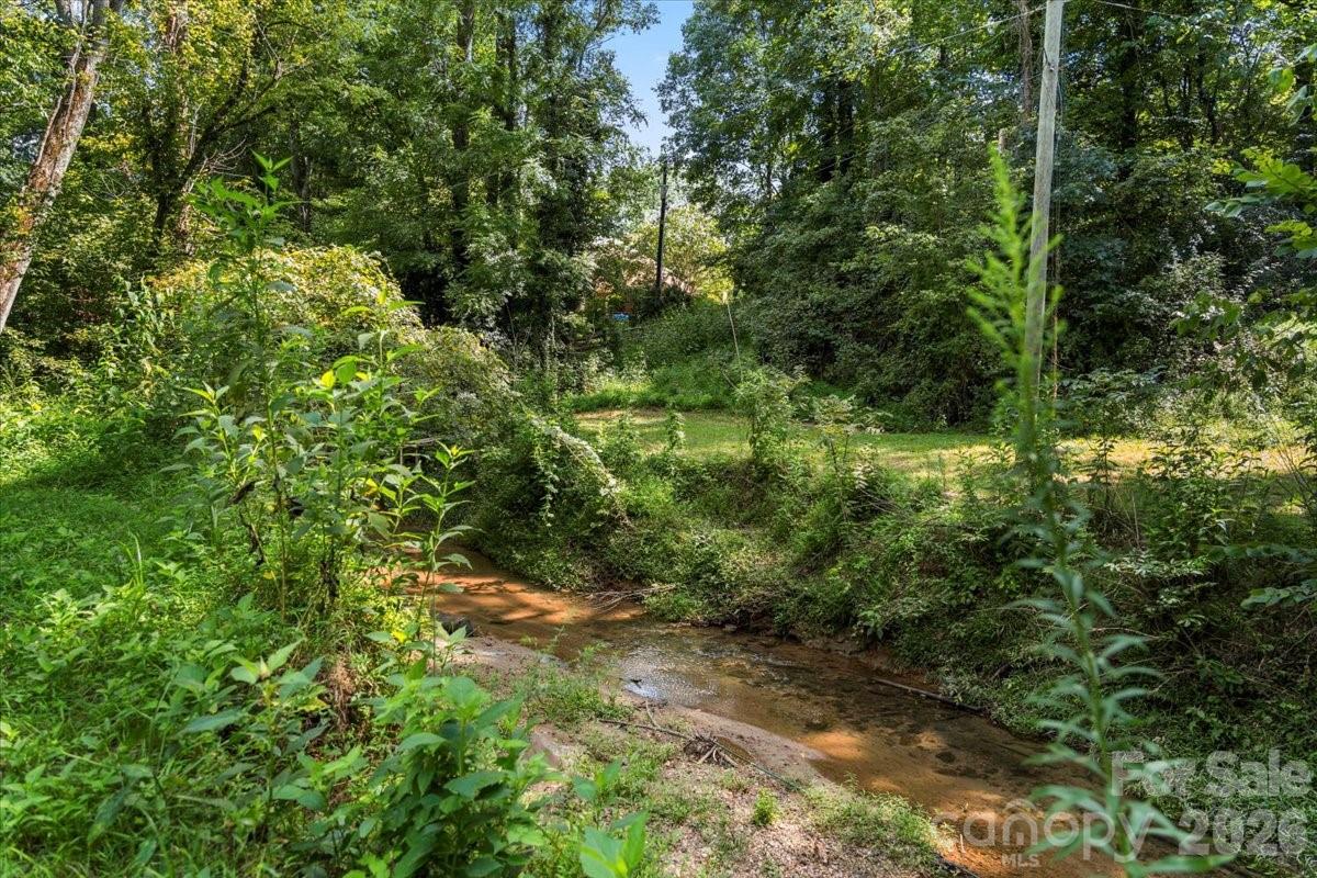 0 Bell Street Mount Holly, NC 28120 - Photo 5 of 10 a view of a lush green forest