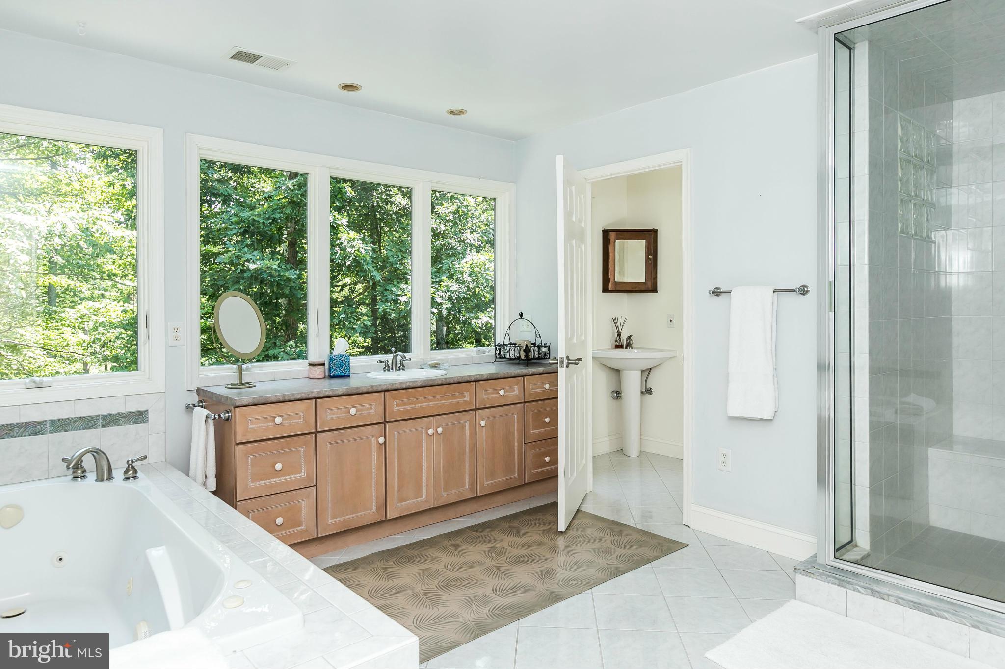 126 Gilbert Court Edgewater, MD 21037 - Photo 20 of 30 a large bathroom with a tub sink shower and mirror