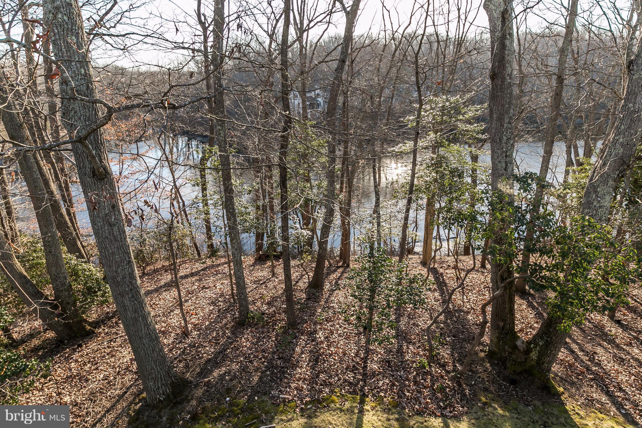 126 Gilbert Court Edgewater, MD 21037 - Photo 27 of 30 a view of forest
