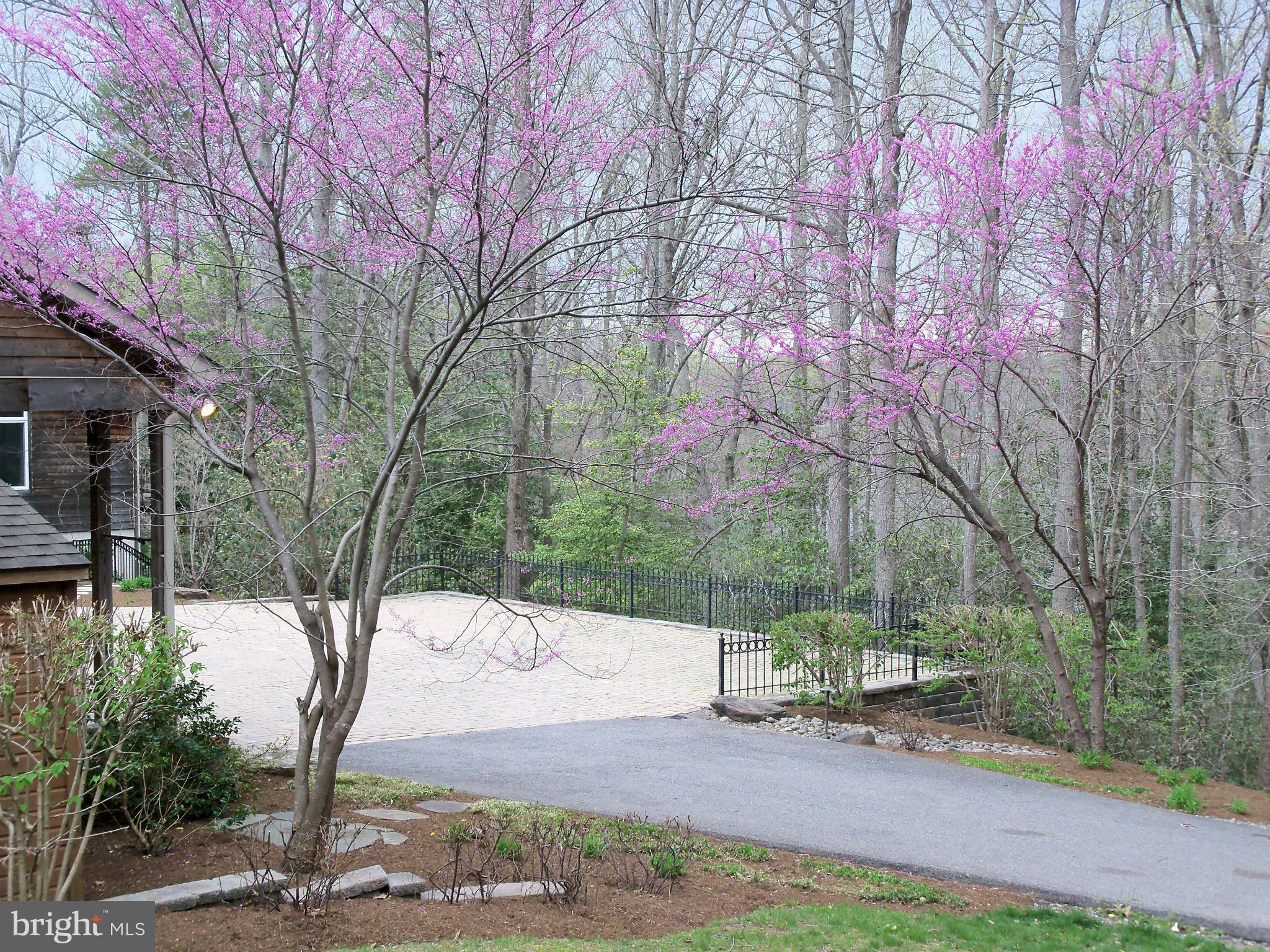 126 Gilbert Court Edgewater, MD 21037 - Photo 29 of 30 a street view with large trees