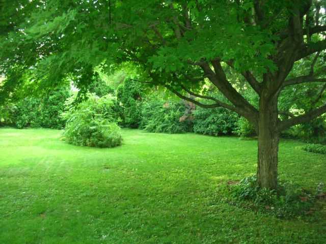 136 Stare Road Newark, OH 43055 - Photo 11 of 16 Gallery Image 11