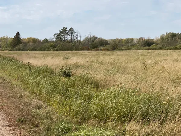 $50,000 | Xxxx Silver Creek Road, Kettle River, MN 55757