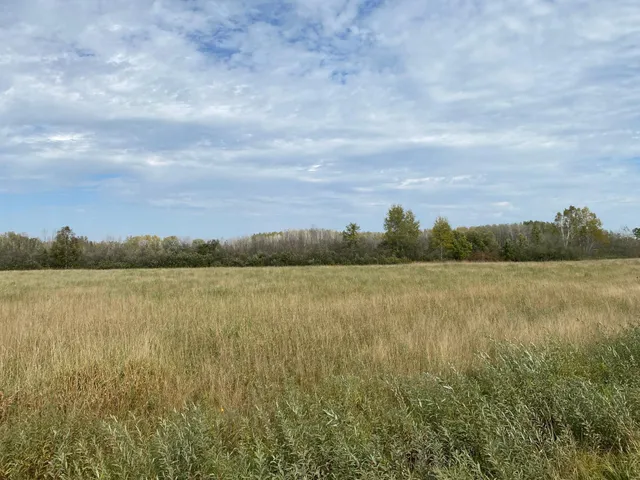 $59,000 | Xxxx Silver Creek Road, Kettle River, MN 55757