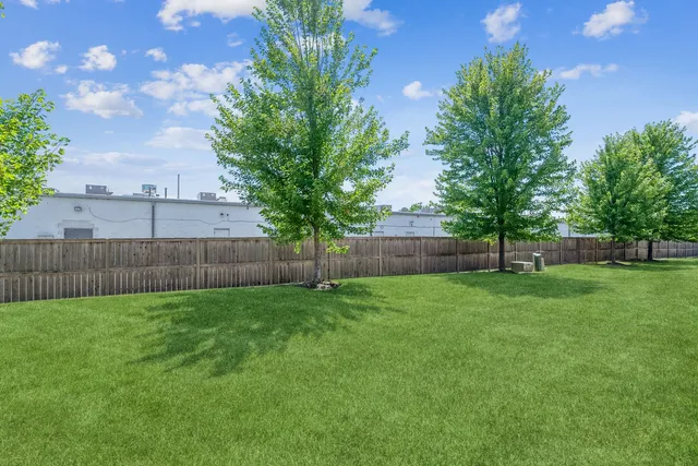 a view of a yard with a tree and wooden fence