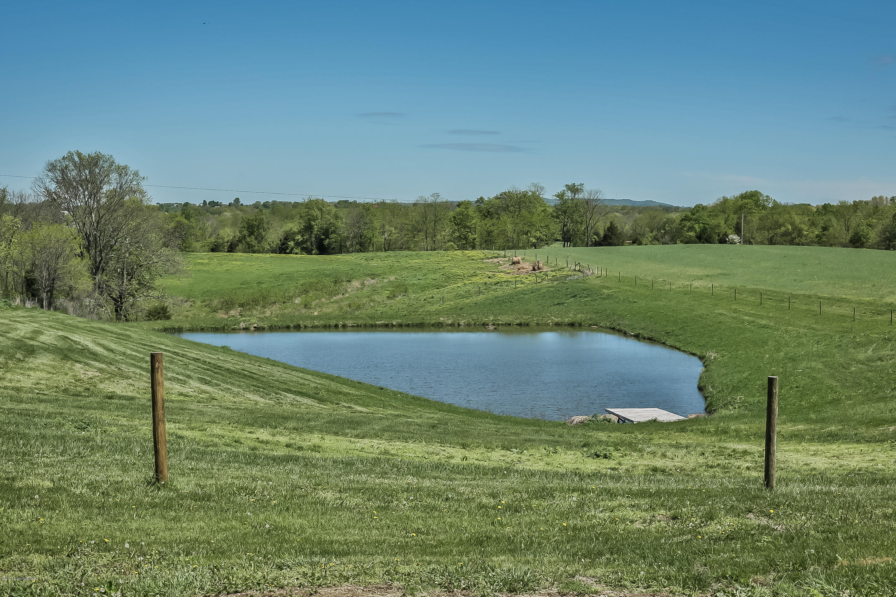 1590 Martin Nethery Road Waddy, KY 40076 - Photo 34 of 40 Pond