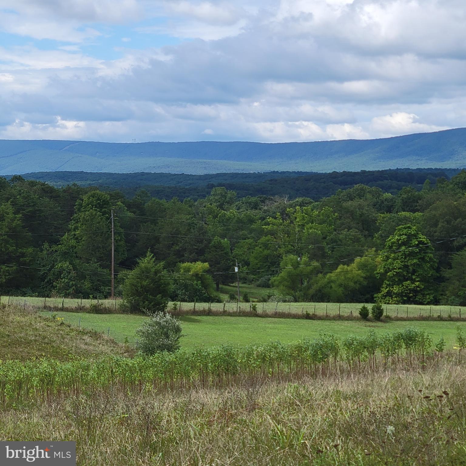 Spielman Road Berkeley Springs, WV 25411 - Photo 1 of 7