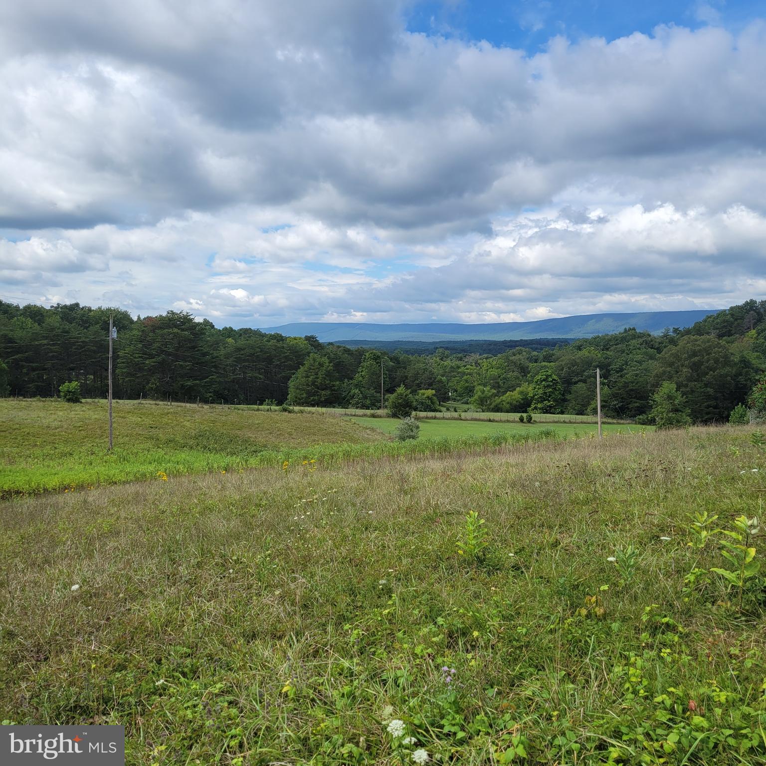 Spielman Road Berkeley Springs, WV 25411 - Photo 5 of 7