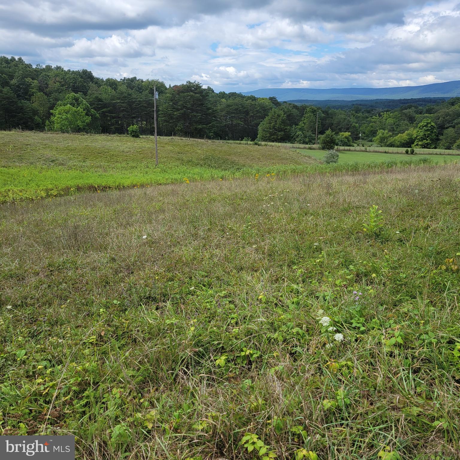 Spielman Road Berkeley Springs, WV 25411 - Photo 6 of 7