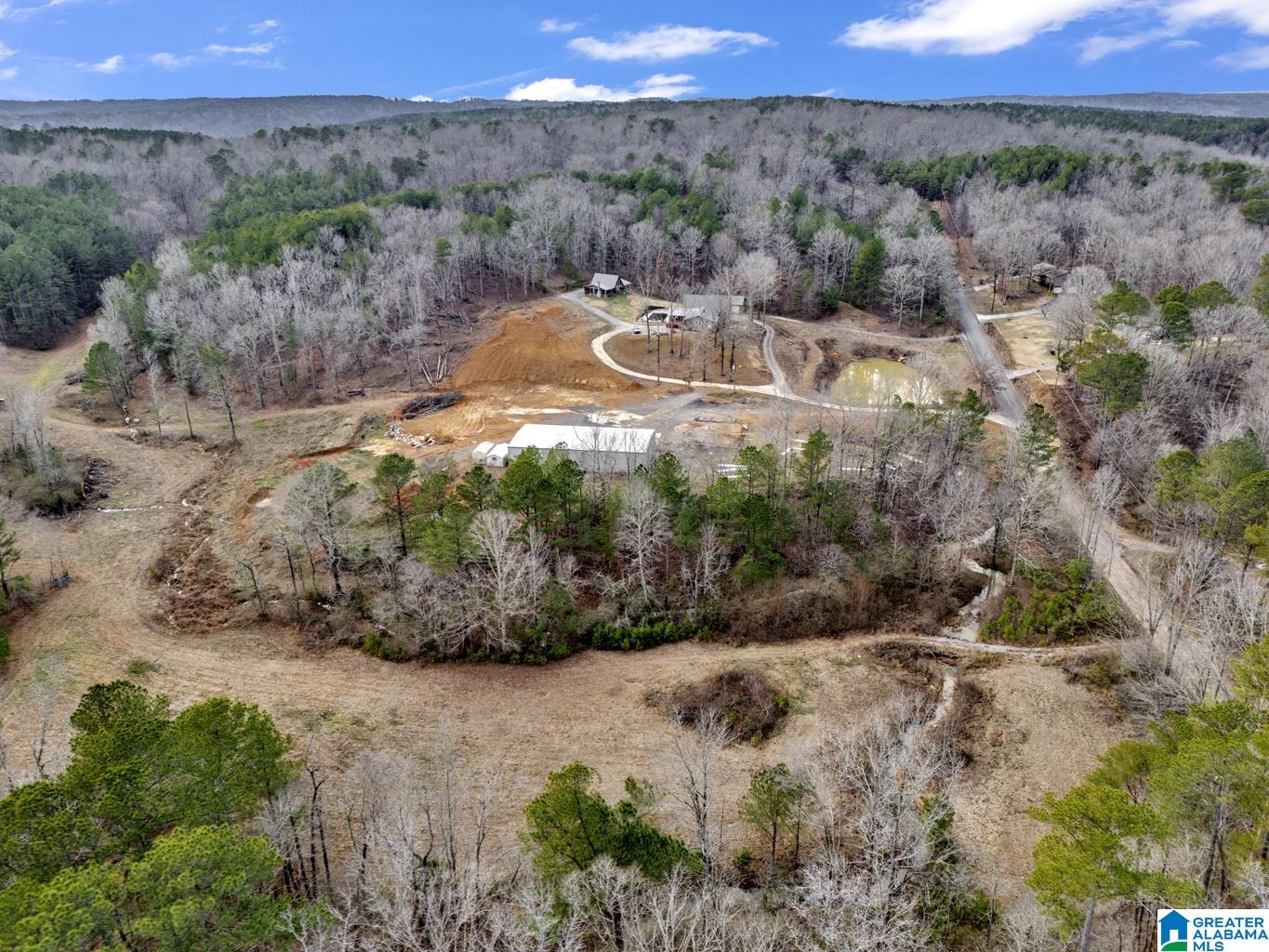 1705 Hagood Mountain Road Morris, AL 35116 - Photo 72 of 84 Gallery Image 72