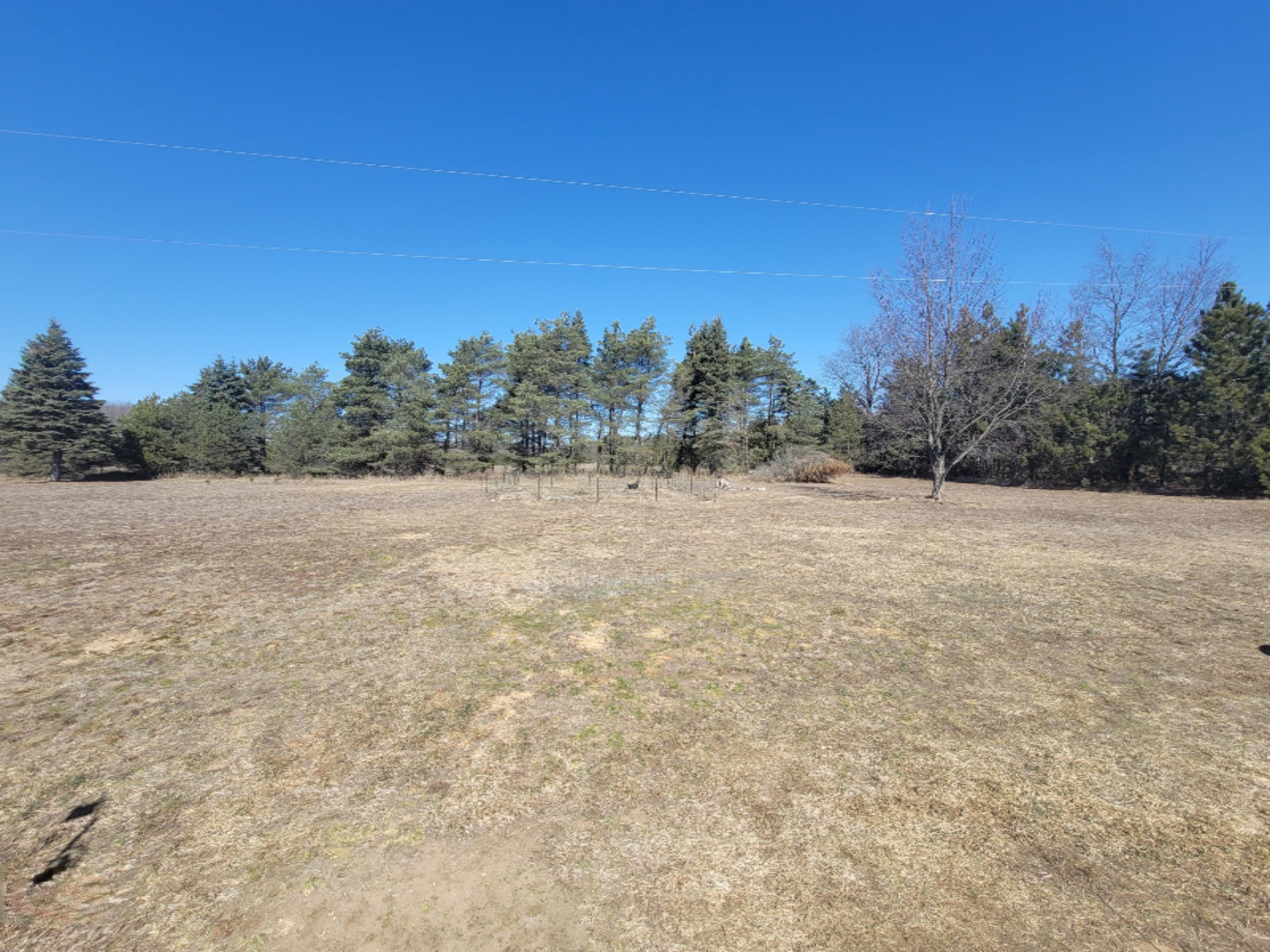 22506 11 Mile Road Reed City, MI 49677 - Photo 21 of 23 20210320_133101