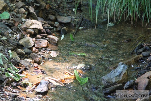 Mallard Lane Boone, NC 28607 - Photo 11 of 19 Gallery Image 11