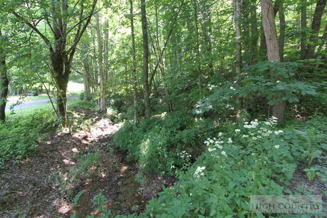 Mallard Lane Boone, NC 28607 - Photo 7 of 19 Gallery Image 7
