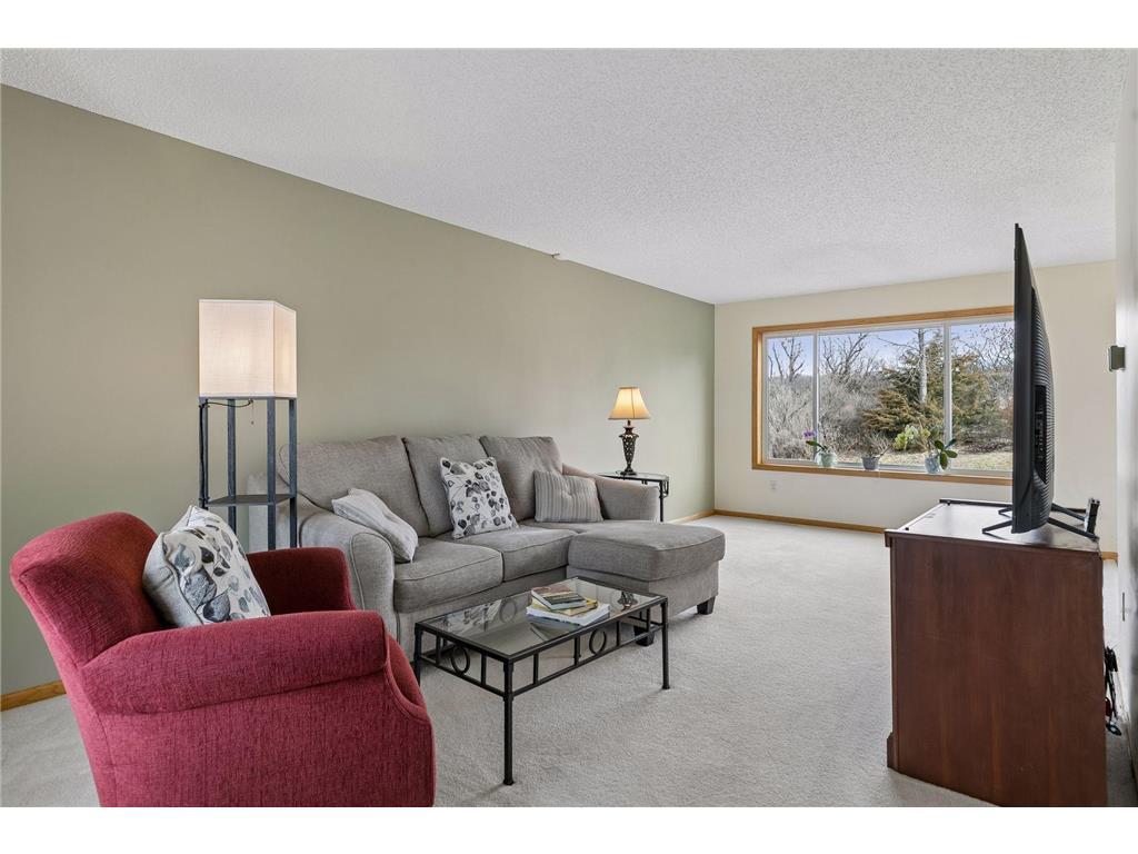 49 Windsor Wood Path Hudson, WI 54016 - Photo 6 of 38