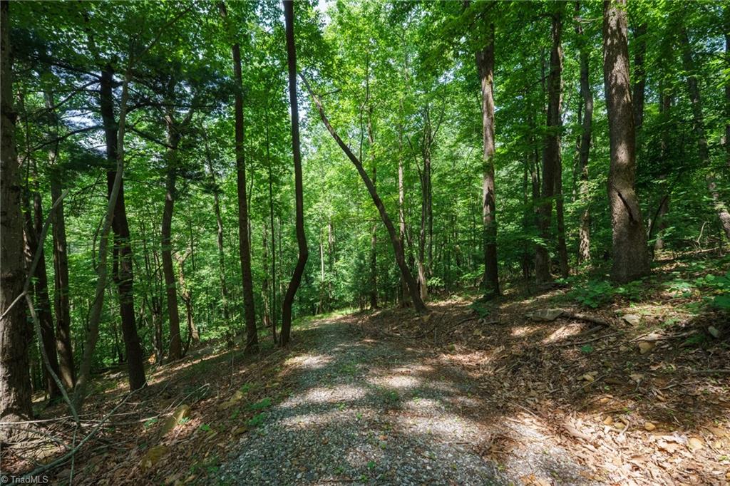 0 Hendren Road Moravian Falls, NC 28654 - Photo 3 of 13