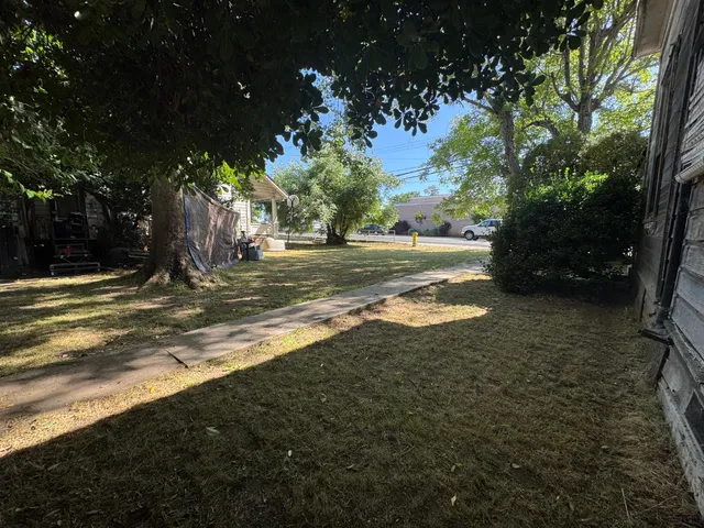 a view of a yard with large trees