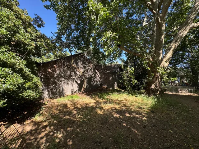 a view of a backyard with large trees
