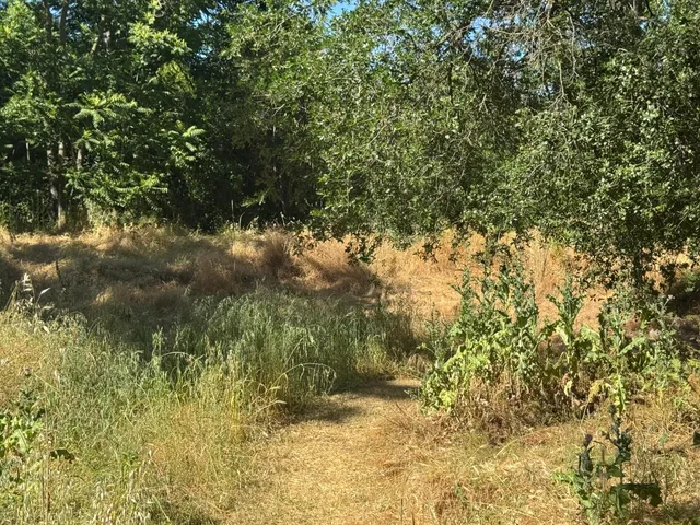 a view of side of a snow yard