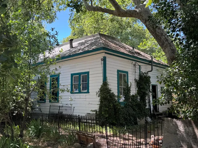 a view of a yard with plants and trees