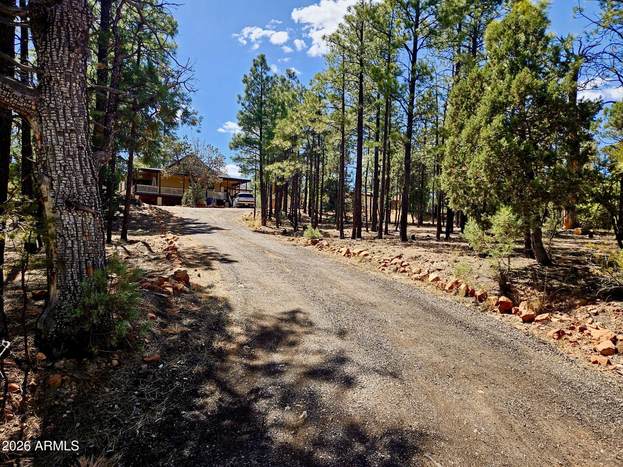 2060 Gilbert Lane Overgaard, AZ 85933 - Photo 4 of 87 1000005659