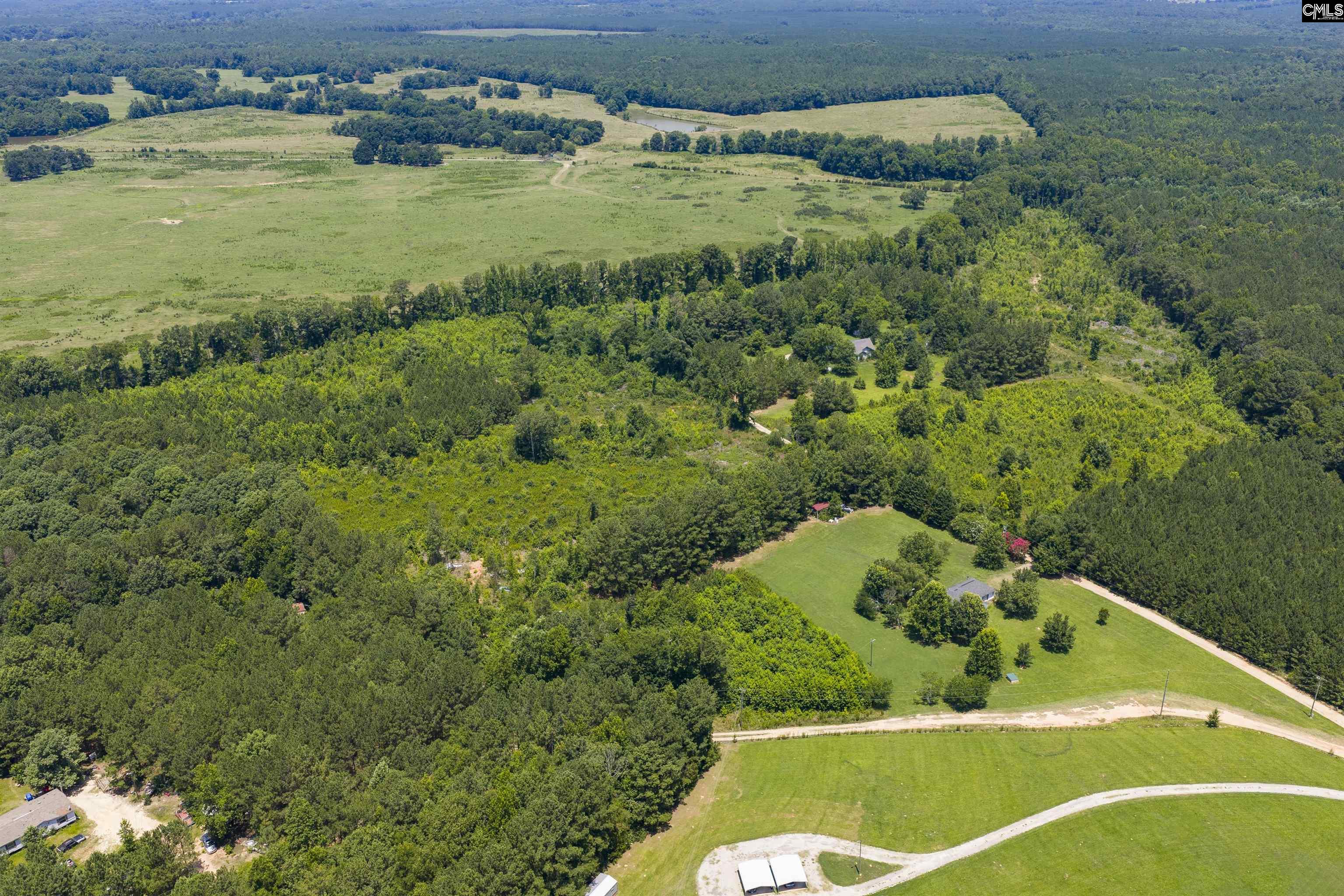 Stevens Road Saluda, SC 29138 - Photo 4 of 23