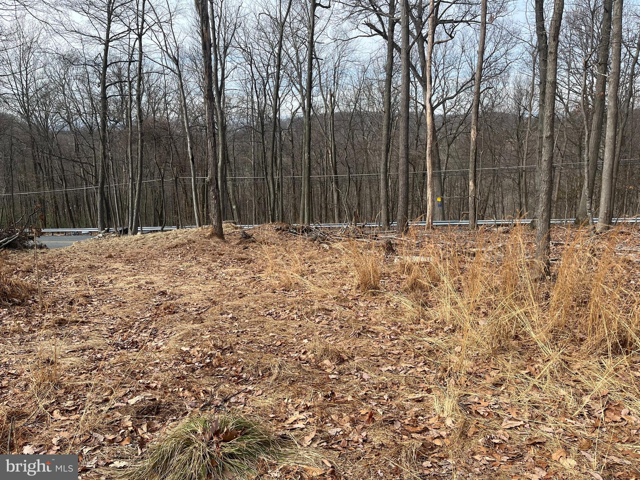 13602 Old Rte 16 Waynesboro, PA 17268 - Photo 10 of 12 Gallery Image 10
