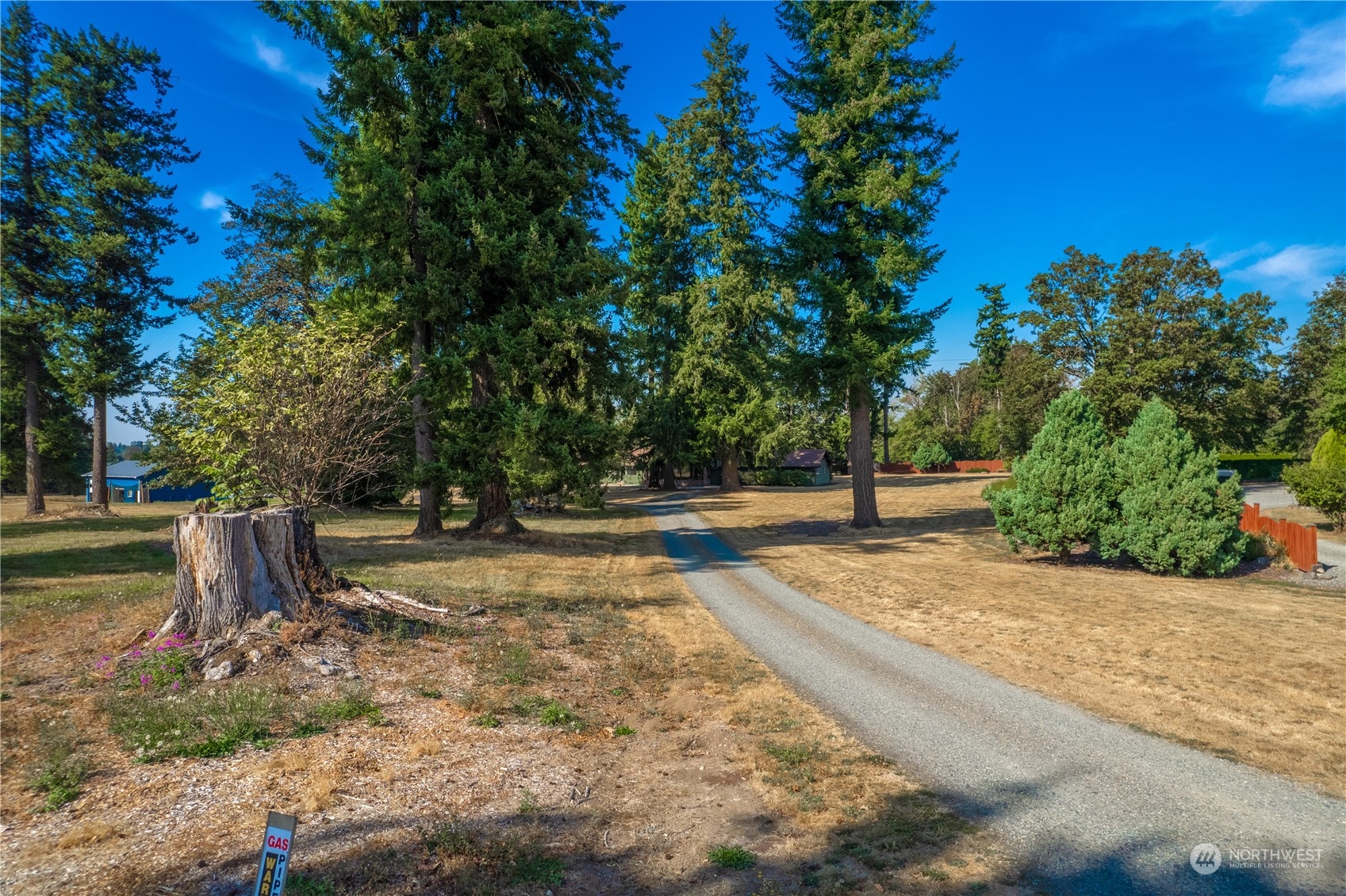 2435 McHugh Avenue Enumclaw, WA 98022 - Photo 30 of 35 a view of a yard with plants and trees