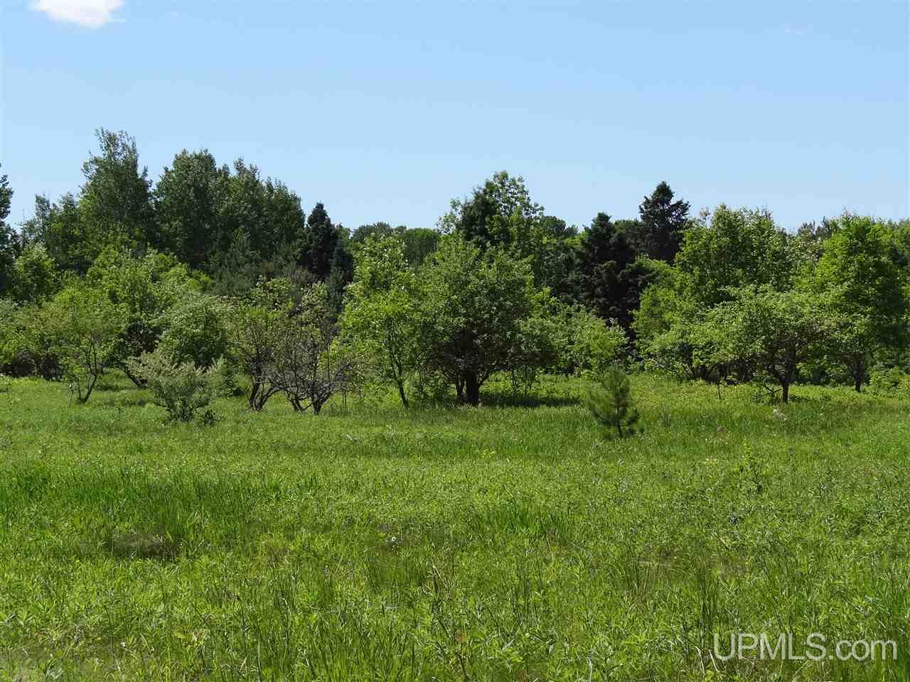Tbd Seppanen Road Nisula, MI 49952 - Photo 22 of 24 Gallery Image 22