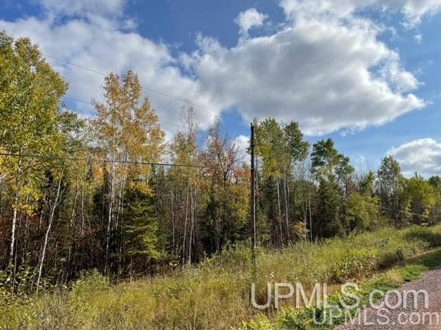 Tbd Lakehead Road Hurley, WI 54534 - Photo 1 of 7