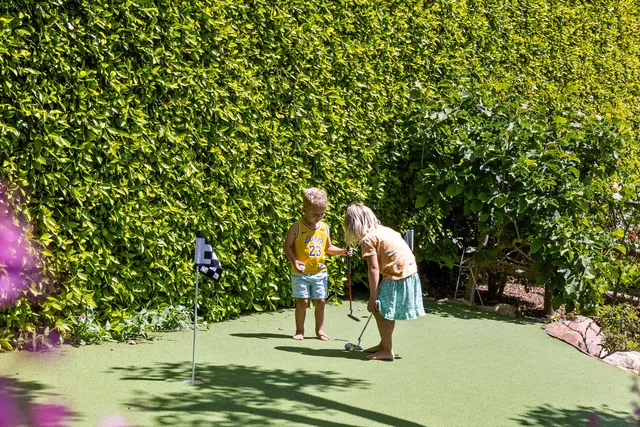 a view of a park with large trees