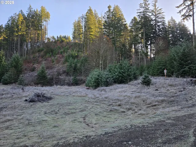 a view of a yard with trees in the background