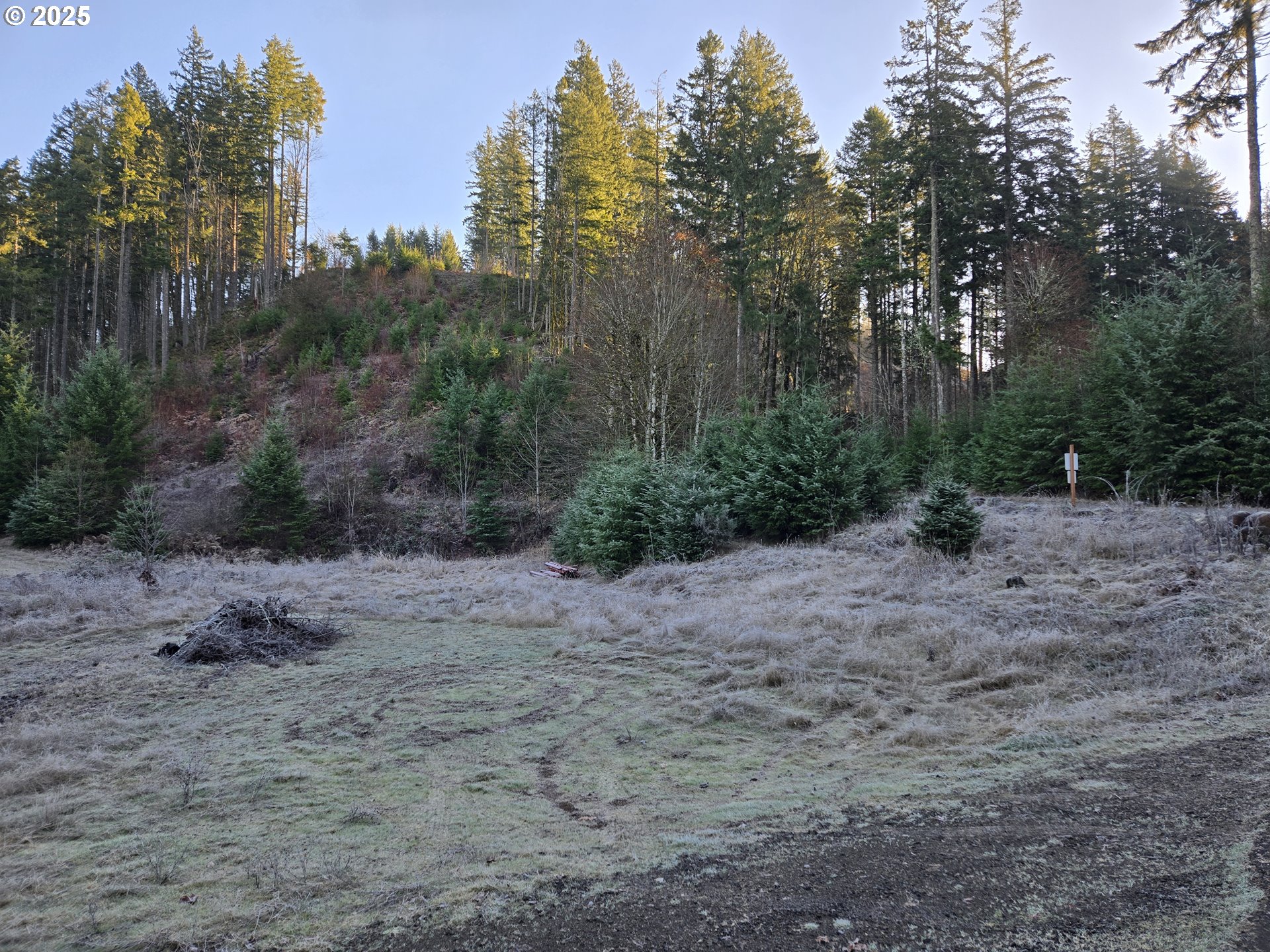 Northwest Ranch Drive Banks, OR 97106 - Photo 1 of 9 a view of a yard with trees in the background