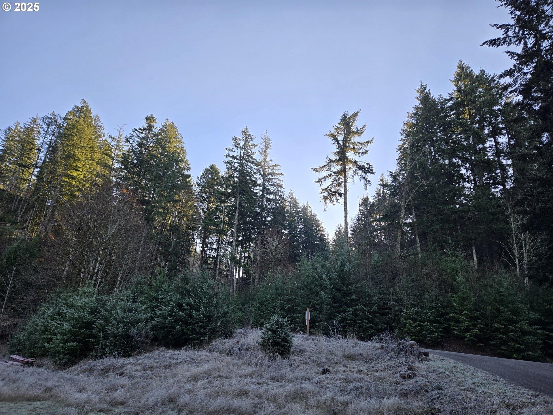 Northwest Ranch Drive Banks, OR 97106 - Photo 3 of 9 a backyard of a house with lots of green space