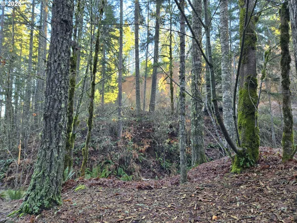 $325,000 | Northwest Ranch Drive, Banks, OR 97106