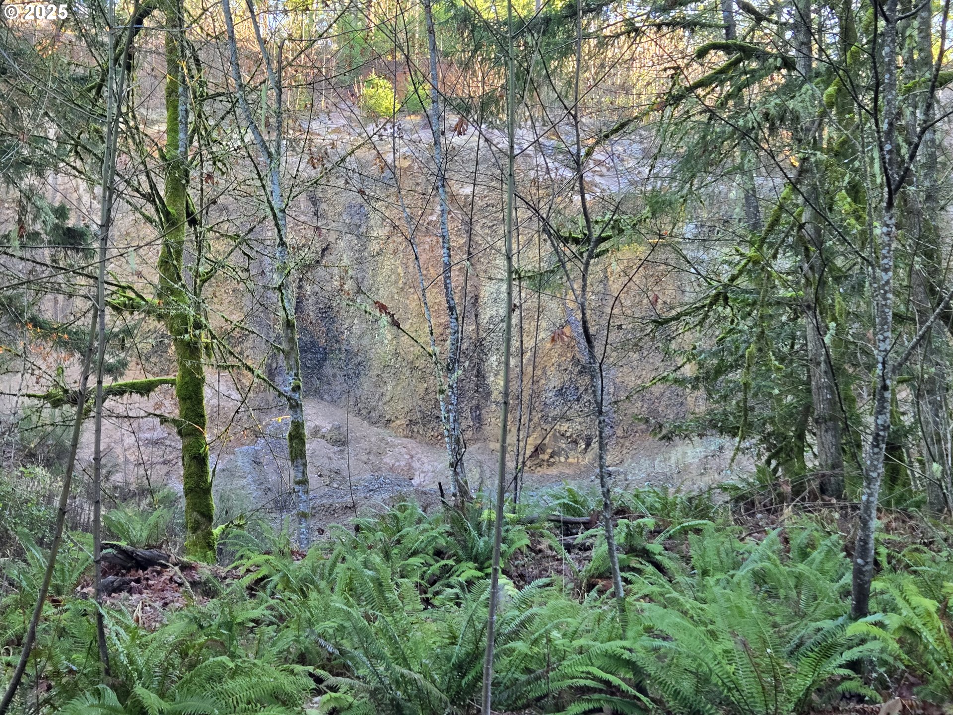 Northwest Ranch Drive Banks, OR 97106 - Photo 5 of 9 a backyard of a house with lots of green space