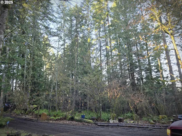 a view of a yard with plants and wooden fence