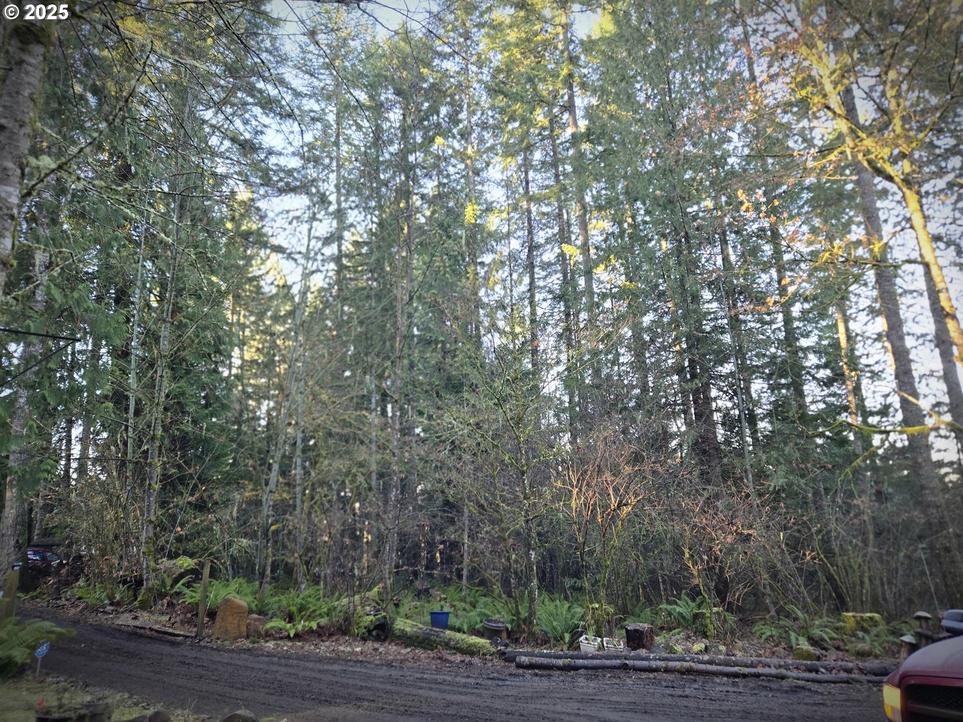 Northwest Ranch Drive Banks, OR 97106 - Photo 7 of 9 a view of a yard with plants and wooden fence