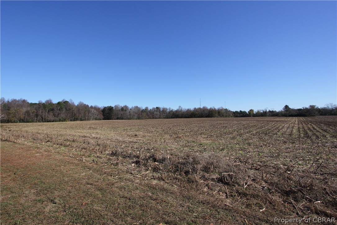 3026 Forge Road Toano, VA 23168 - Photo 8 of 11 3026 Forge Road 50.77 Ac
