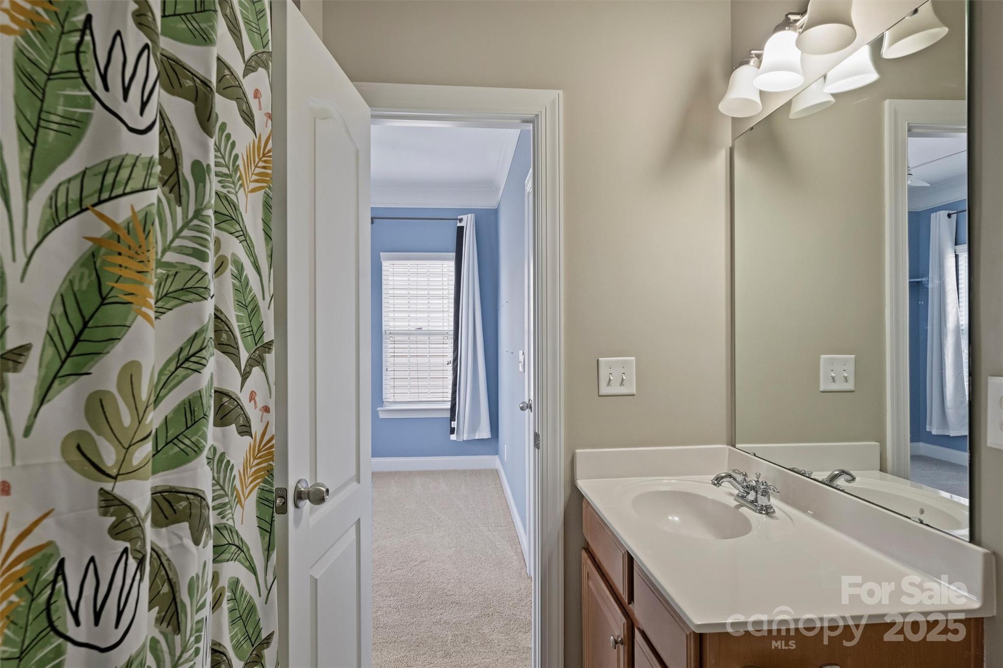 10513 Serape Road Charlotte, NC 28277 - Photo 35 of 45 a bathroom with a sink a mirror and a bathtub